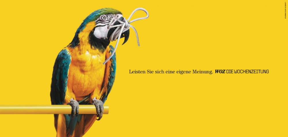 WOZ_Papagei