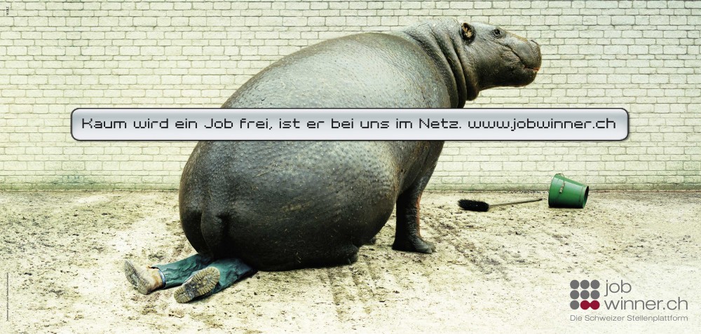 Jobwinner_Hippo