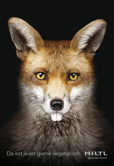 Hiltl_Fuchs