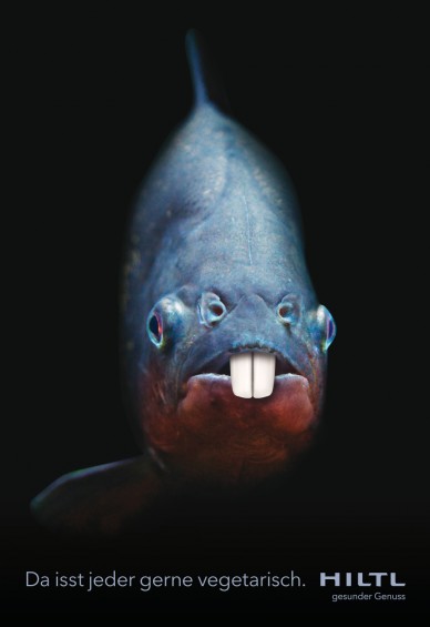 Hiltl_Piranha