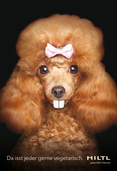 Hiltl_Pudel