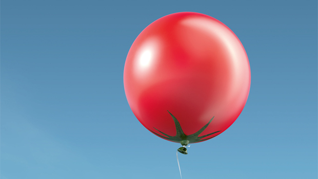 Hiltl_Dachterrasse_Tomate