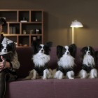 Micasa_Leo_Burnett_mosbacher