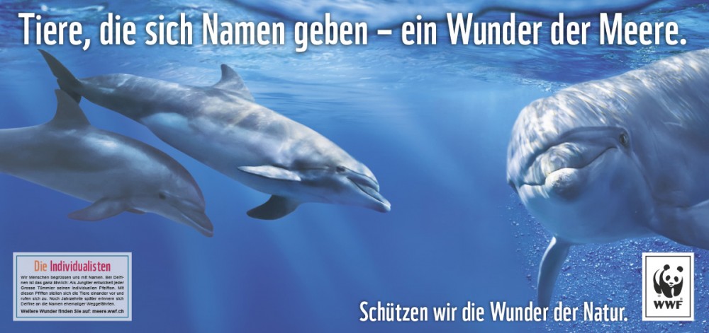 WWF_Delfin_Spinas