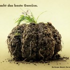 Leo Burnett Schweiz