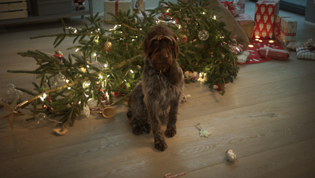 thjnk_IKEA_X-Mas_Hund_mit_Baumschmuck