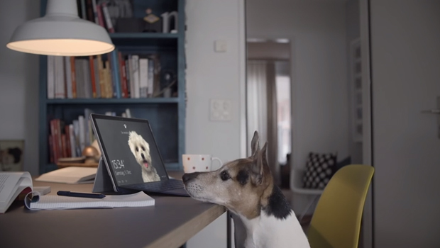 Wundermann_Microsoft