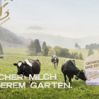 Cailler_Jung_von_Matt