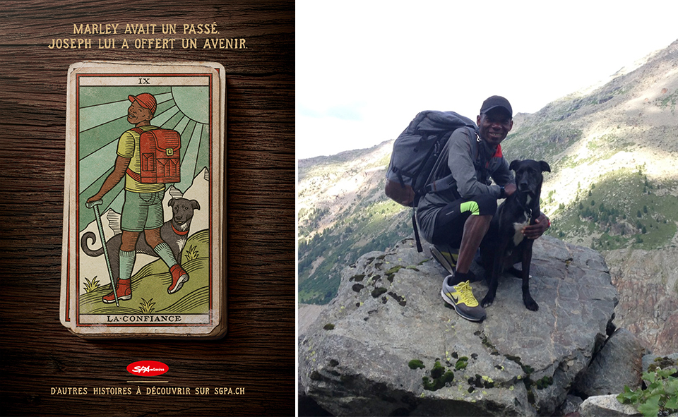 Havas_Geneve_SPA_Geneve_Dog