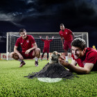 Tipico-Maulwurf-Jung_von_Matt