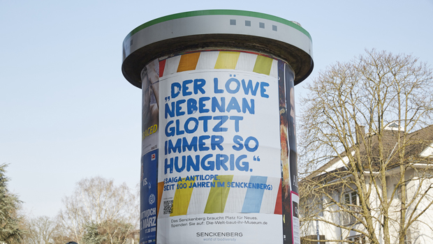 Senckenberg Liftfasssauule_Antilope