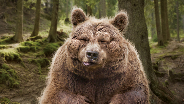 baer_Tierpark_Goldau