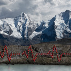 erdmannpeisker_mammut