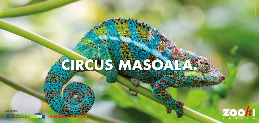 Matter Gretener Lesch Zoo_Zuerich