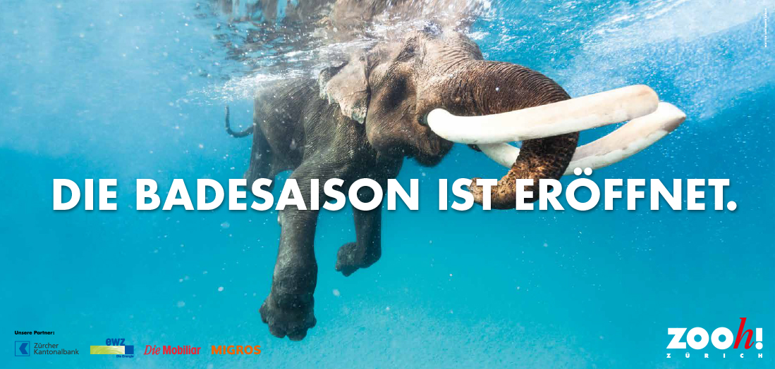 Matter Gretener Lesch Zoo_Zuerich