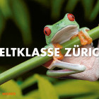 Matter Gretener Lesch Zoo_Zuerich