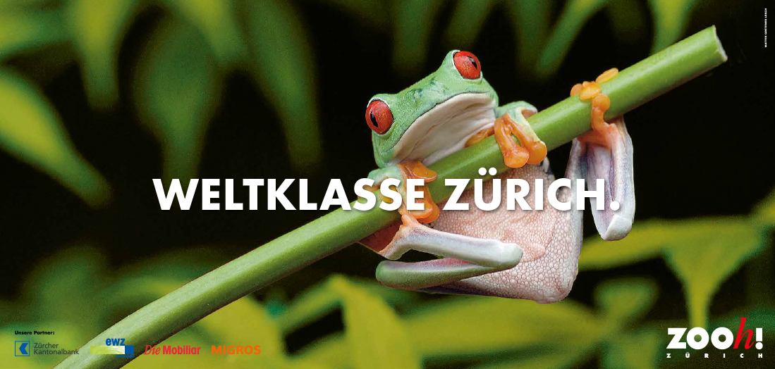 Matter Gretener Lesch Zoo_Zuerich