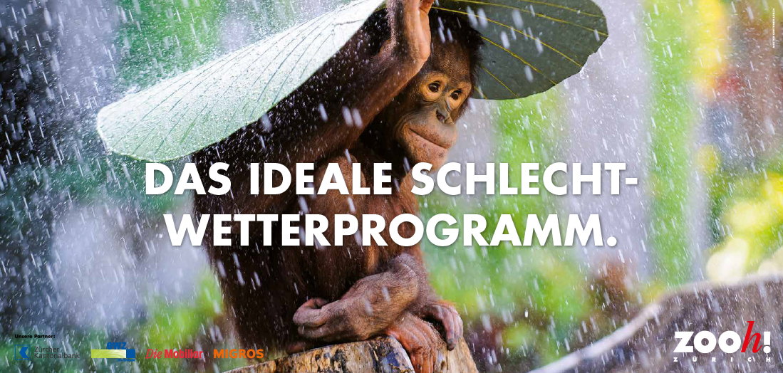 Matter Gretener Lesch Zoo_Zuerich