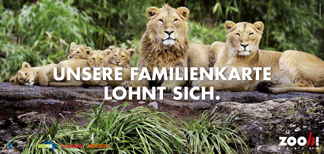 Matter Gretener Lesch Zoo_Zuerich