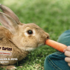 coop_abenteuer_garten_d