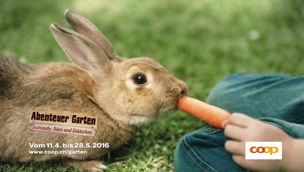 coop_abenteuer_garten_d
