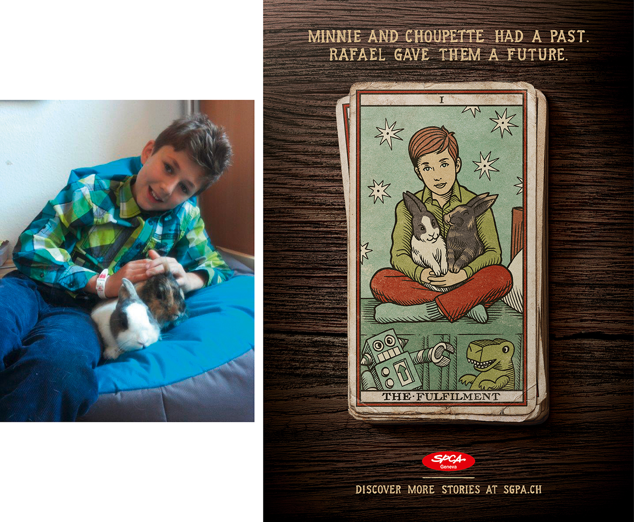 A voice for a future_Rabbit