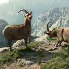 Graubuenden_Gian_Giachen