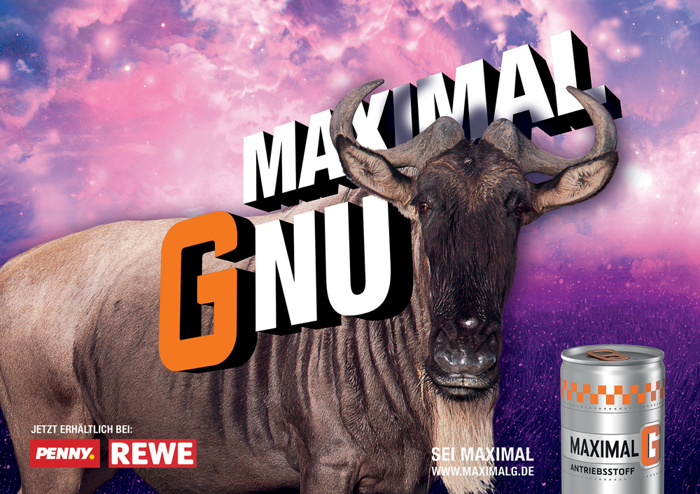 Serviceplan_Rewe_MaximalG