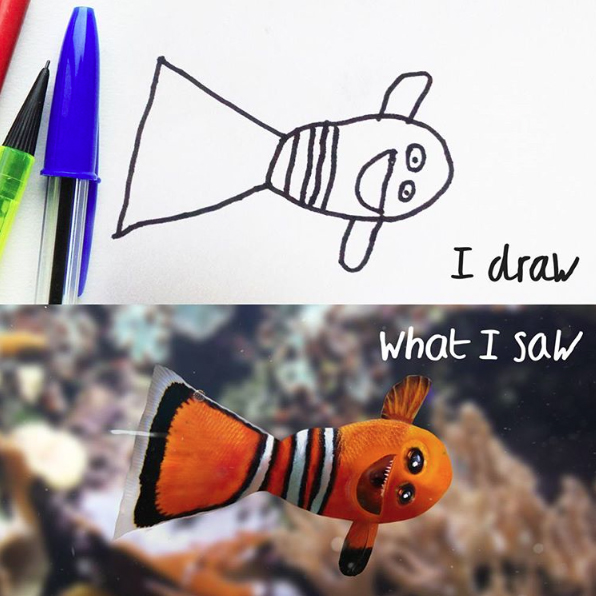 I draw what I saw