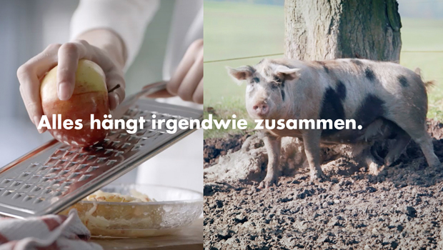 thjnk Zuerich: Bio-Suisse-Apfel_Schwein