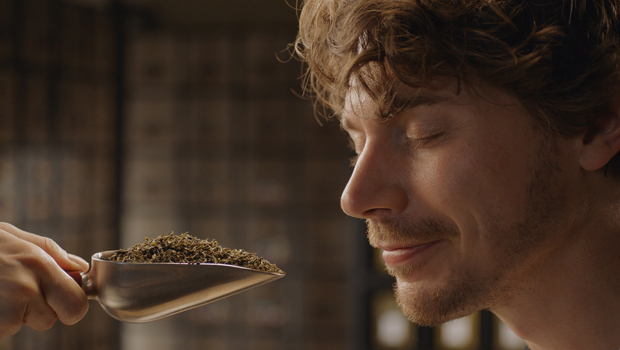 Tee Gschwendner Serviceplan Koeln