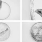 Selfnation_Making_Of