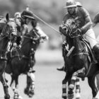 Christof Schmidt Polo-Team