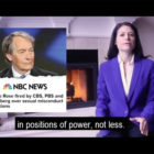 Der-Polit-Penis-Werbespot