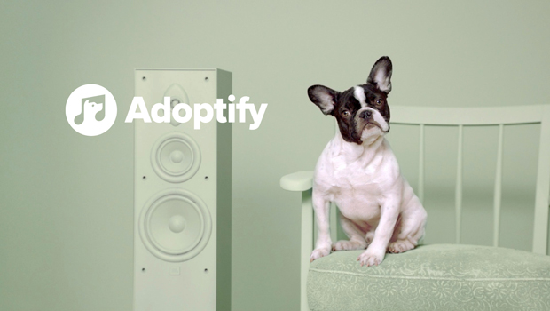 Adoptify