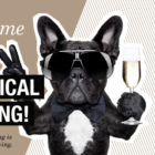 Vulcano_Musterwohnung