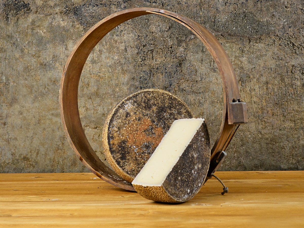 MAUERHOFER_Fruehlingsschaf