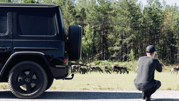 mercedes #explorewildtaiga