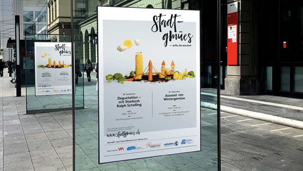 Tollkirsch_Stadtgmues_Plakat