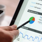 Online_Birds_Trends_SEO