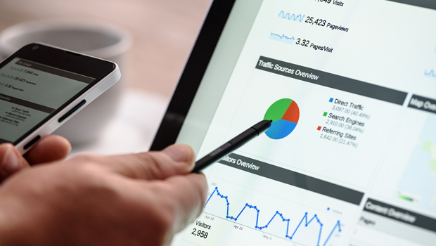 Online_Birds_Trends_SEO