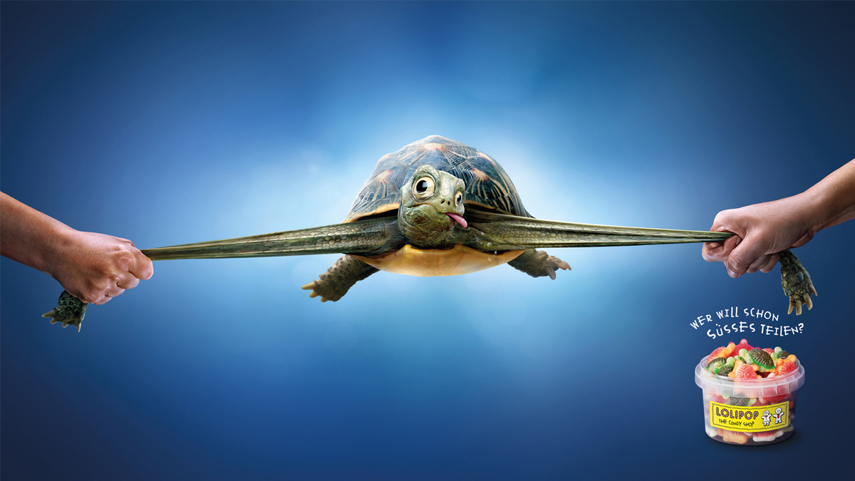 Lolipop_unteilbar_turtle