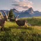 Graubuenden_Gian_Giachen