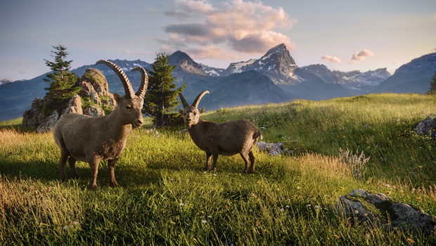 Graubuenden_Gian_Giachen