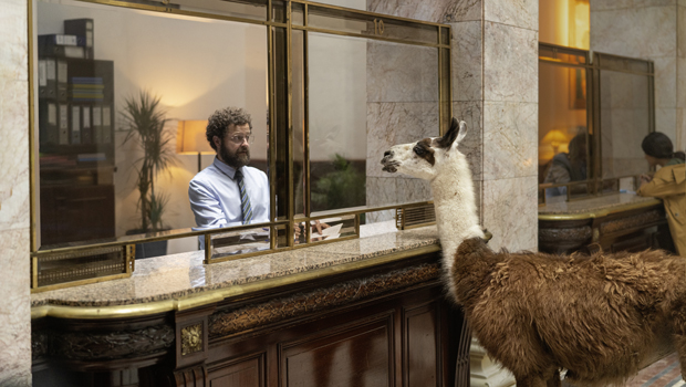 Bosch_LlamaDrama_Bankschalter