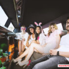 SibeSiech - Save me from my nice life Sujet_StrechLimo