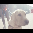 tpf Givisiez Ensemble