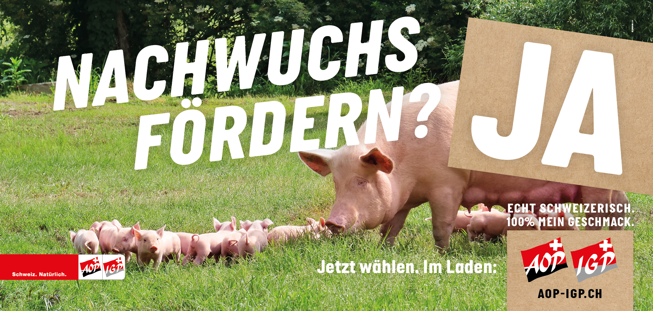 AOP_JA_Allgemein_Nachwuchs3