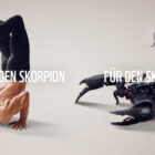 WWF_YfA_Online_Kaiserskorpion