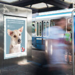 VIER-PFOTEN_Jubilaeumskampagne_Wirz_Activation